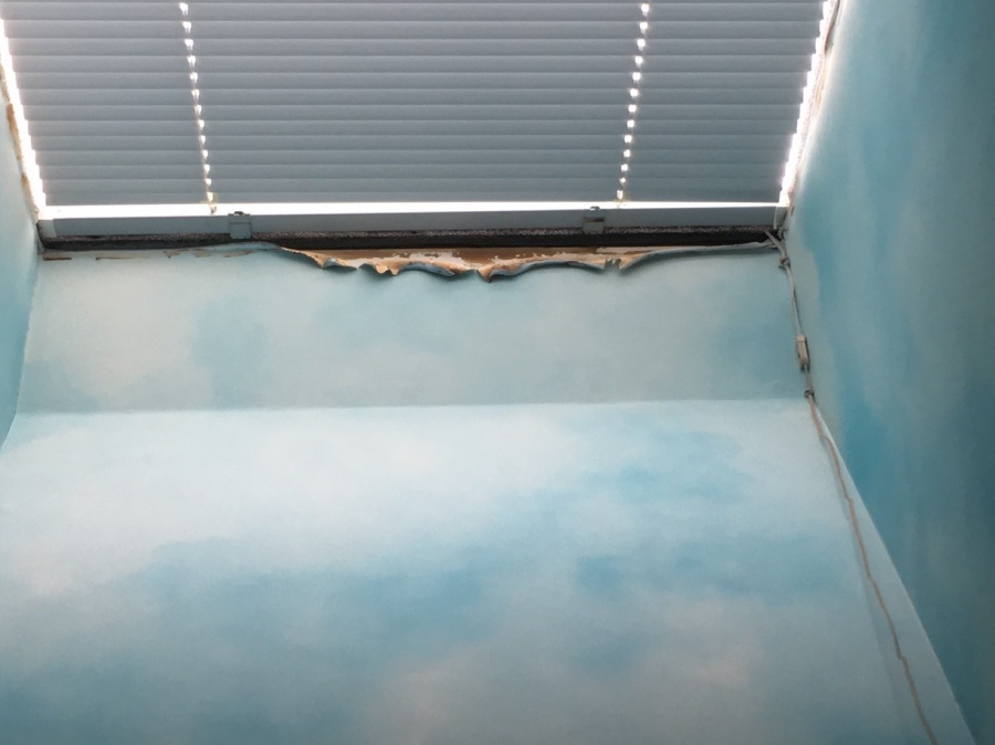 雨漏り　現地調査　トップライトの様子