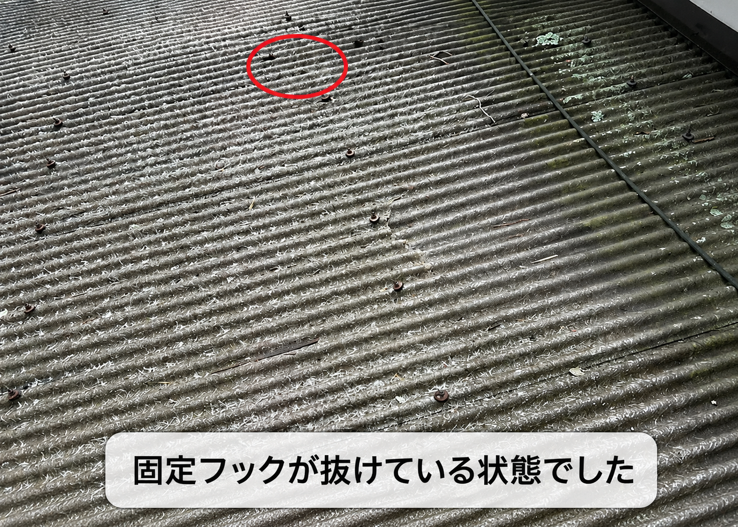 物置屋根の固定フックが抜けている様子でした