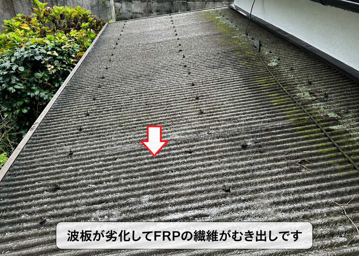 豊中市既存の物置屋根の波板はFRPのの繊維がむき出しの状態
