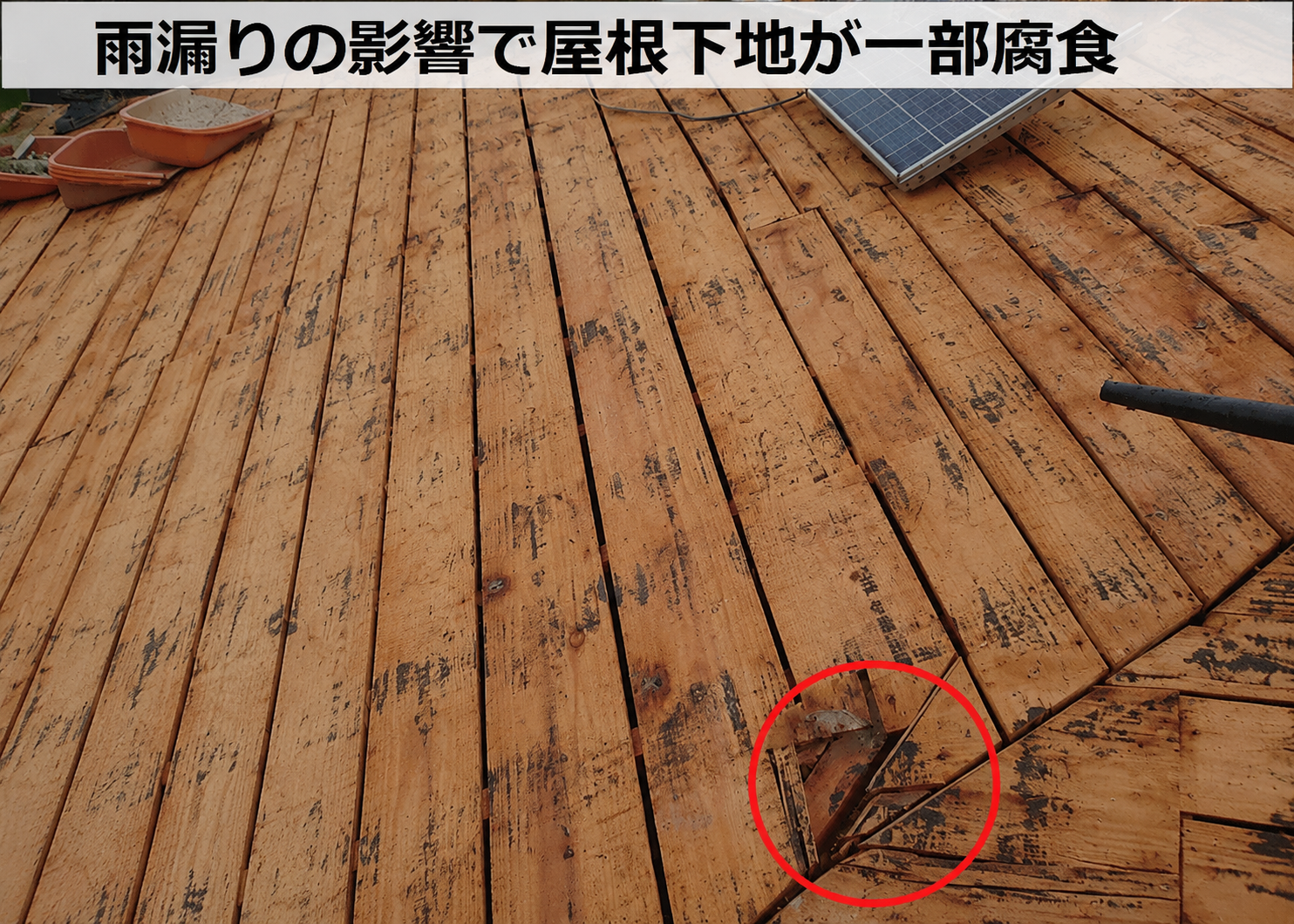 雨漏りの影響で瓦屋根の屋根下地が一部腐食している様子