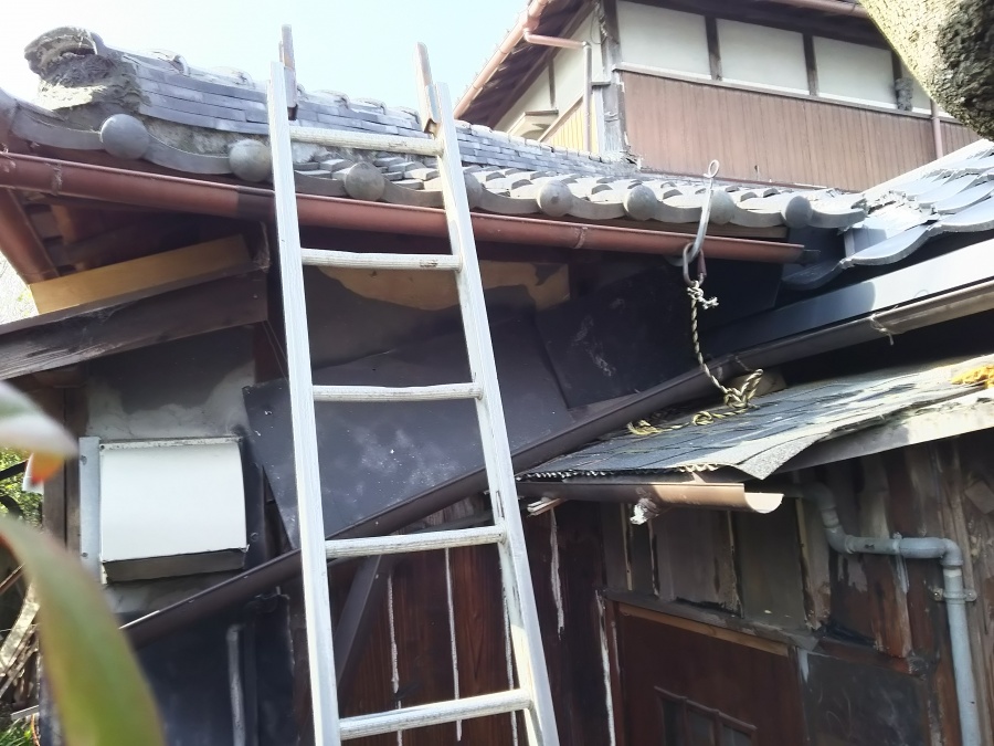 下屋根にハシゴを架ける