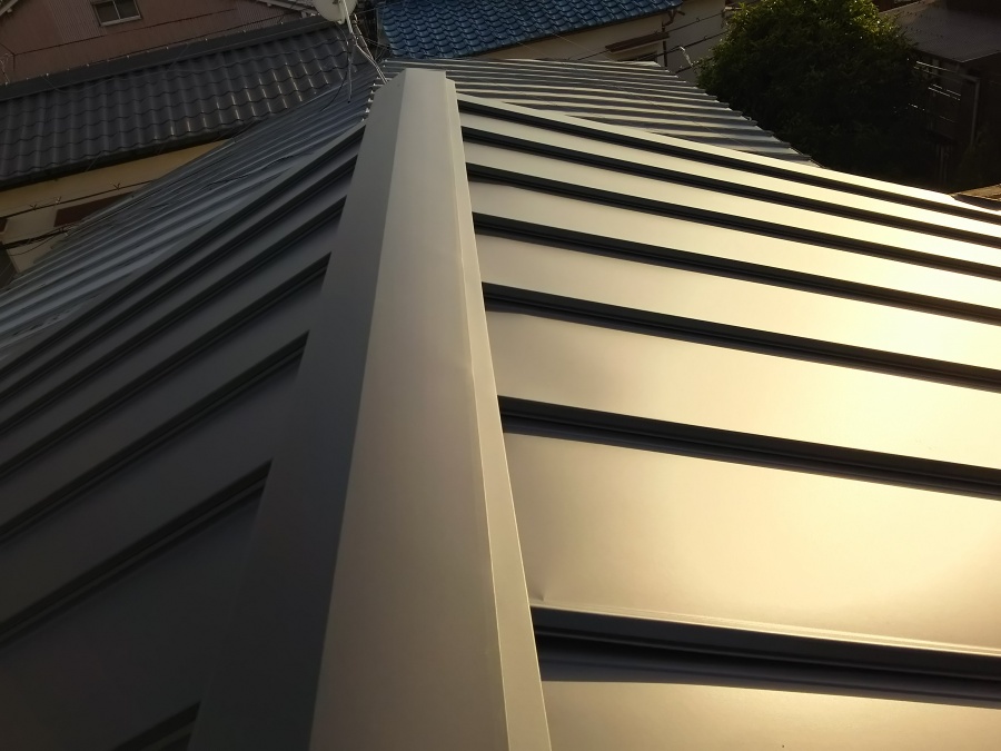 １年点検大屋根清掃