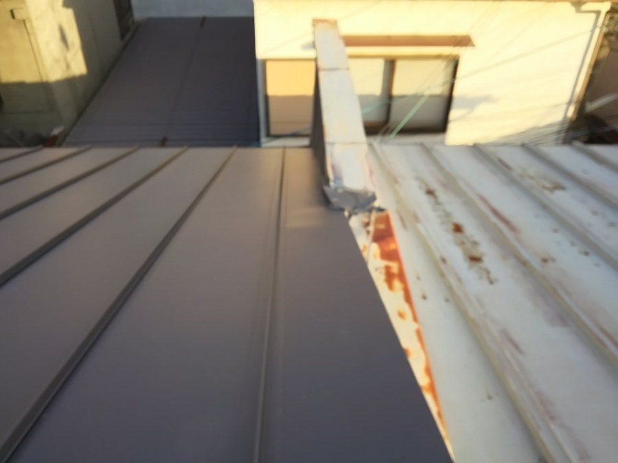 １年点検大屋根点検