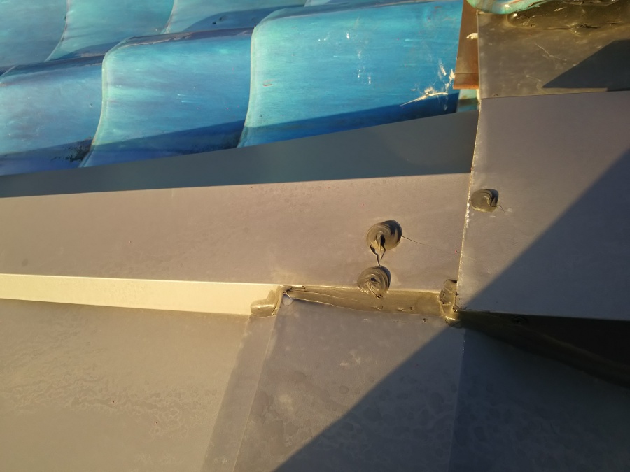 １年点検大屋根点検