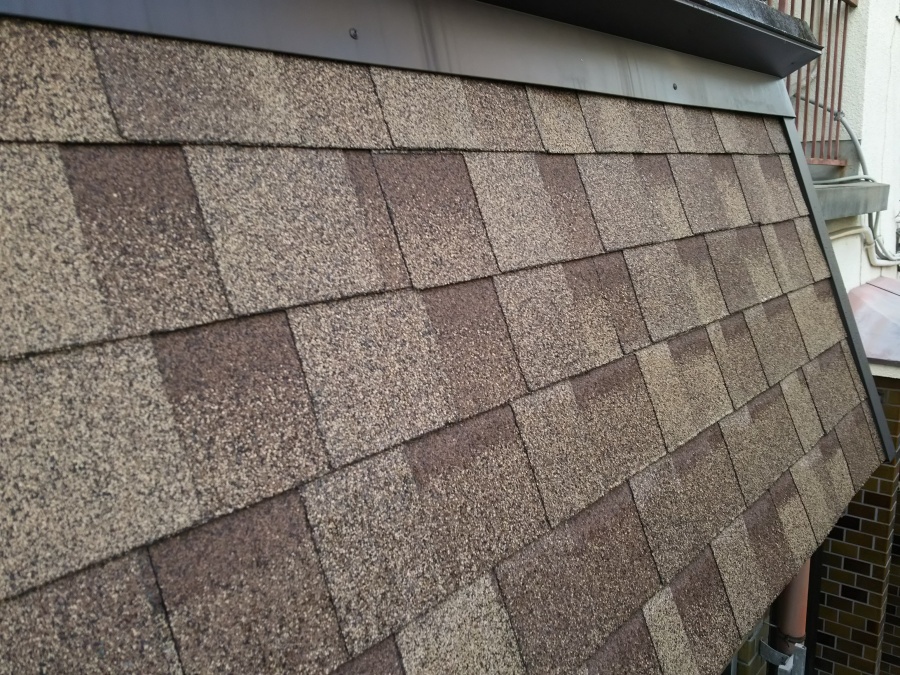 １年点検大屋根点検