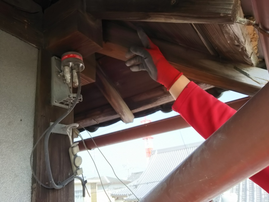 大屋根の屋根裏の様子