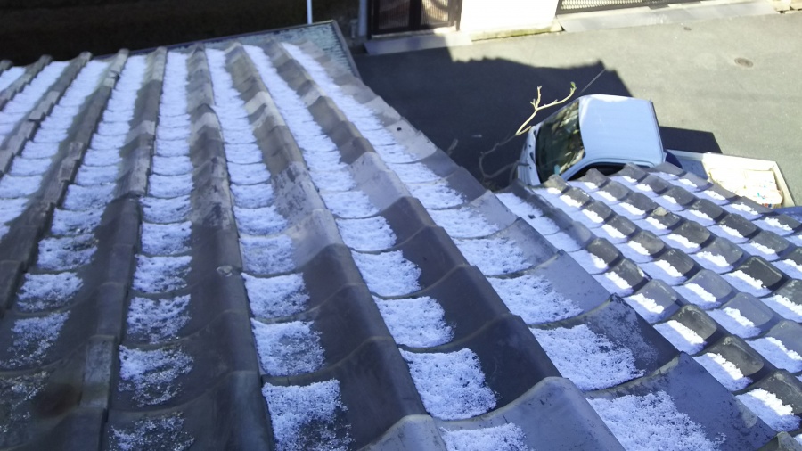 瓦が凍てている