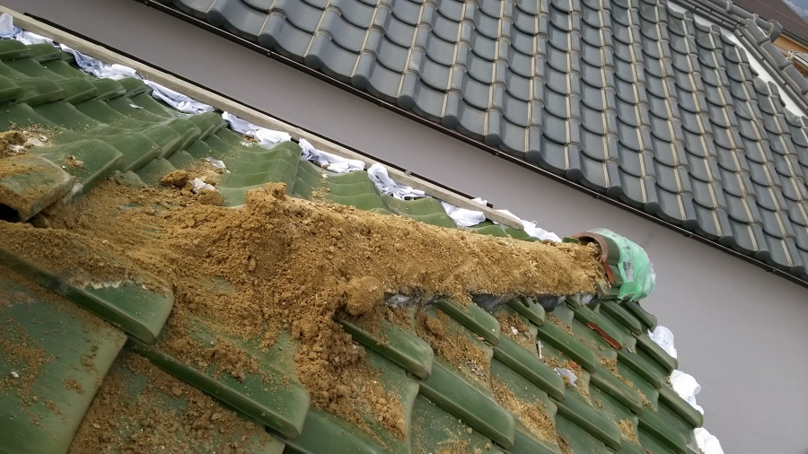 瓦の下の葺き土の様子