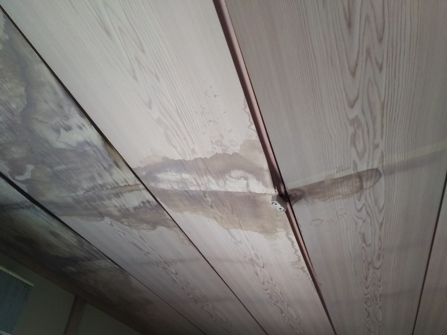 天井の雨漏り雨染み