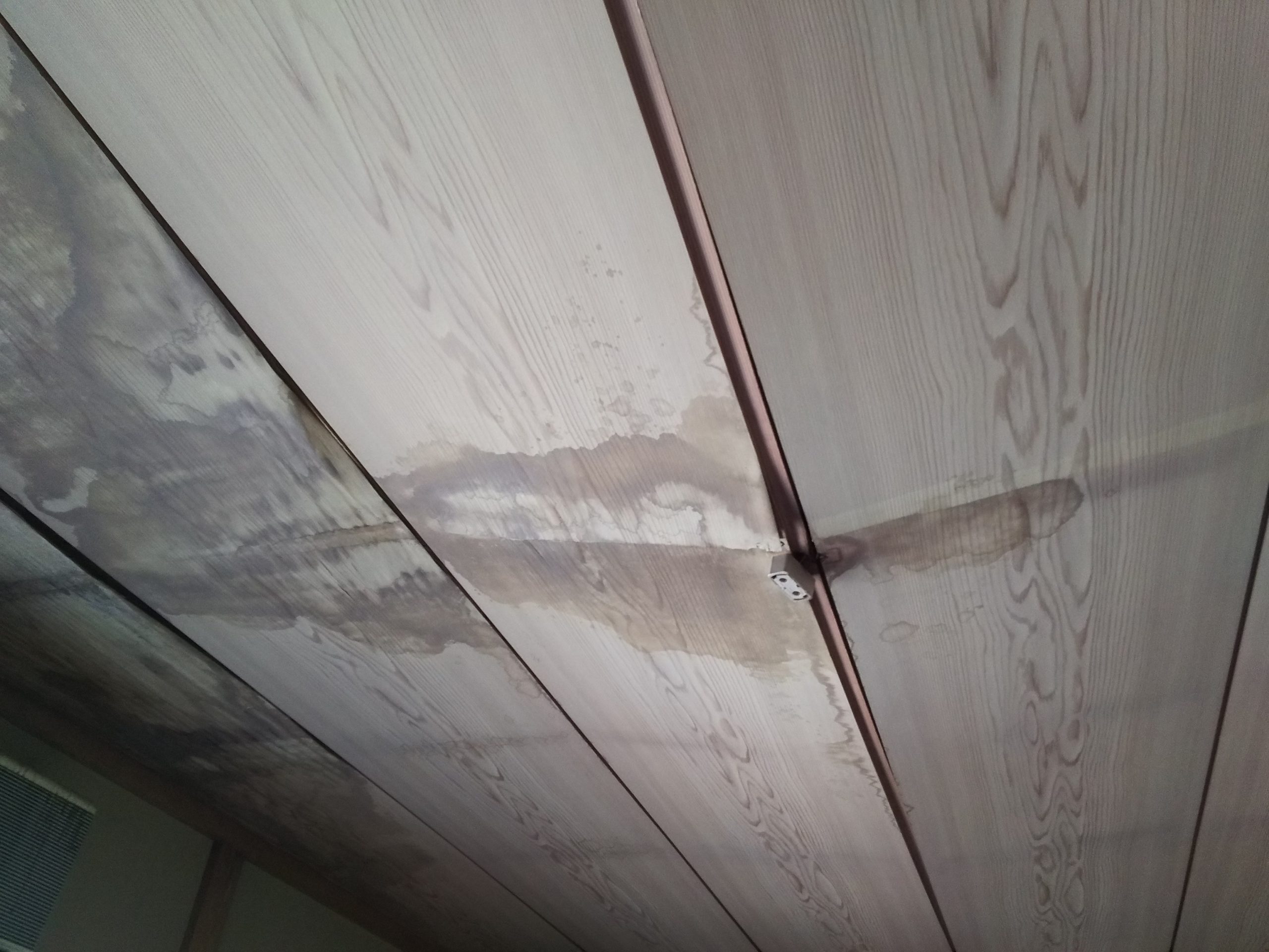 雨漏りによって傷んだ天井