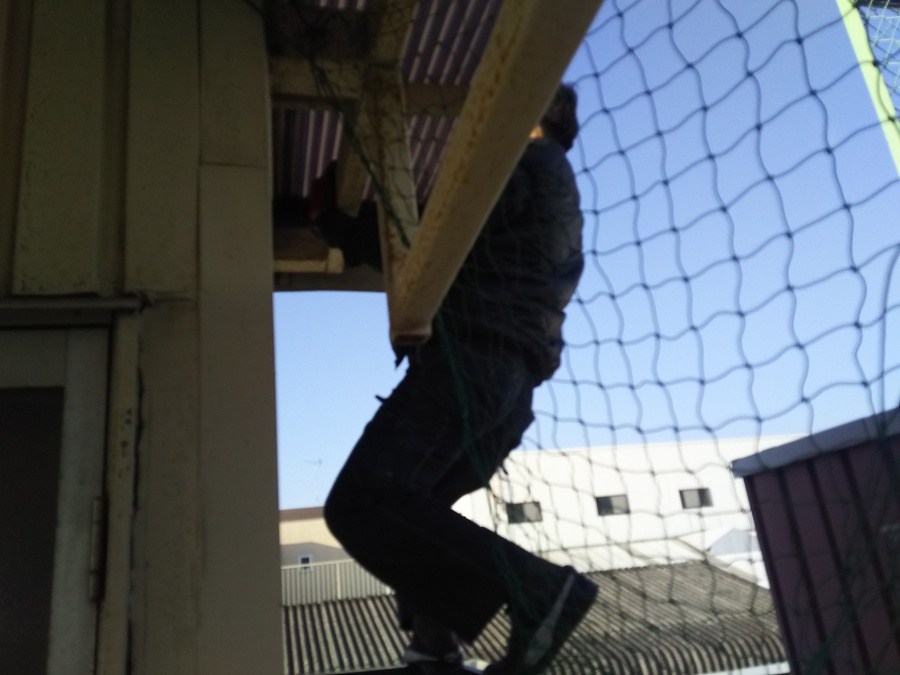 手すりの上に乗り、屋根を調査