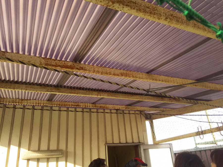 雨漏り調査　波板