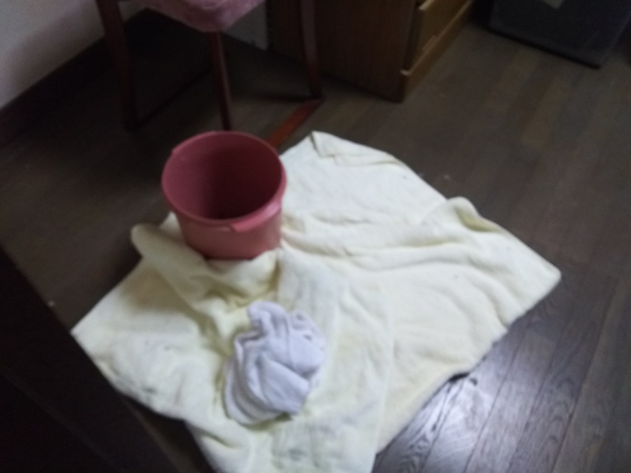 雨漏り調査開始　バケツ