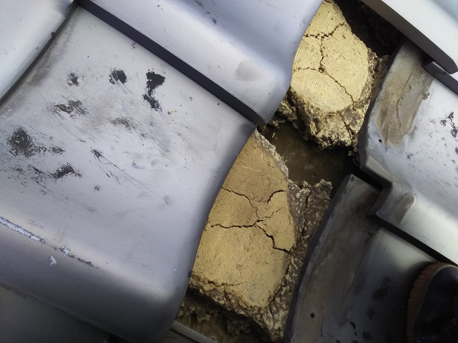 現地調査　瓦の下を調査