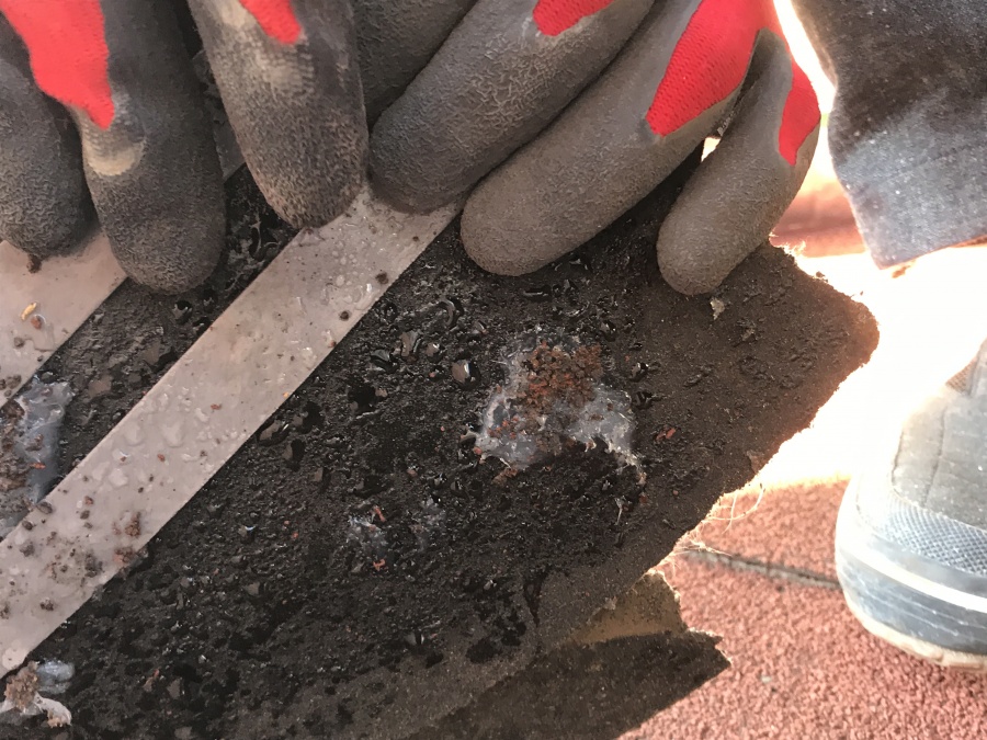 下屋根の雨染み調査