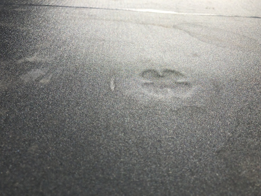 塩ビシートと塩ビ鋼板を熱溶着した後の様子