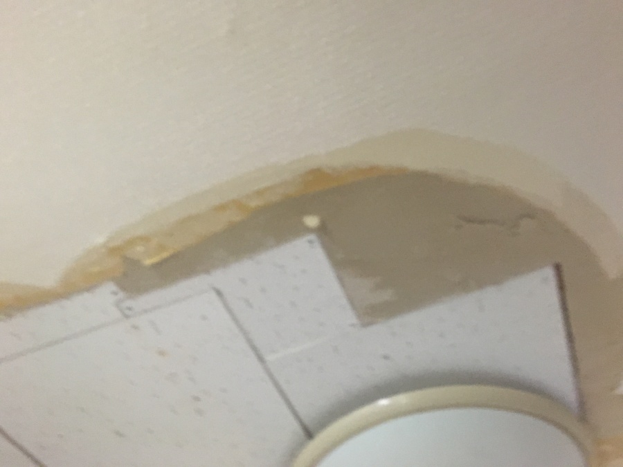 天井クロスの雨染みの様子