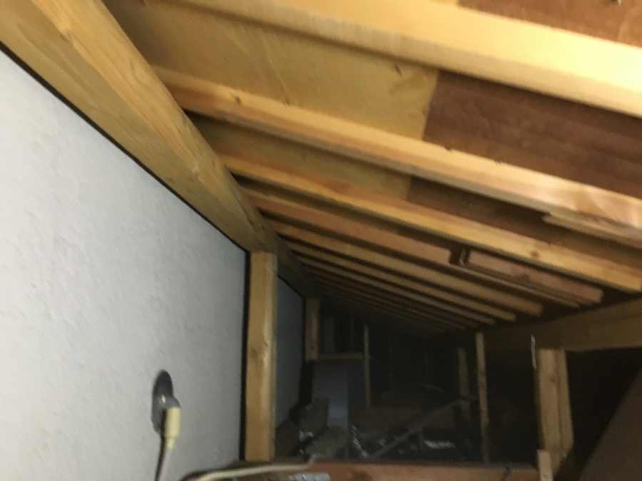 雨漏り調査　天井裏調査
