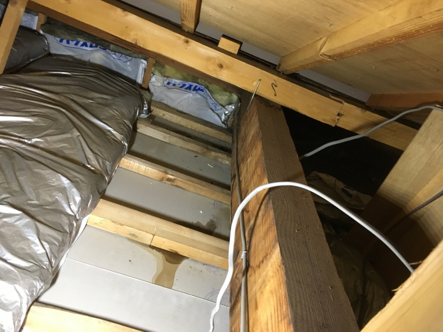 雨漏り調査　天井裏調査
