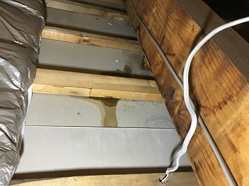 天井裏の雨漏りの様子