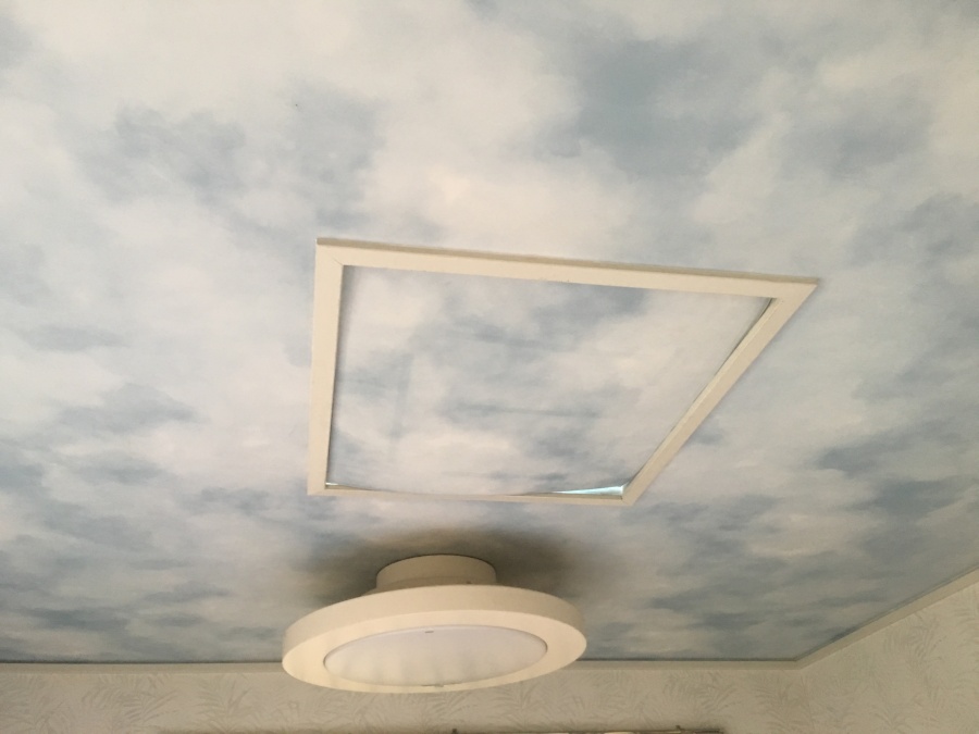 雨漏り　現地調査　トップライト開口部