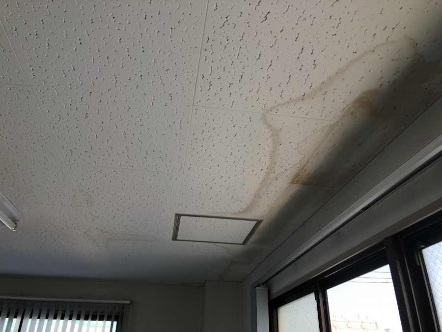 天井クロスに雨染み