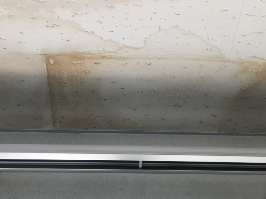 天井クロスに雨染み