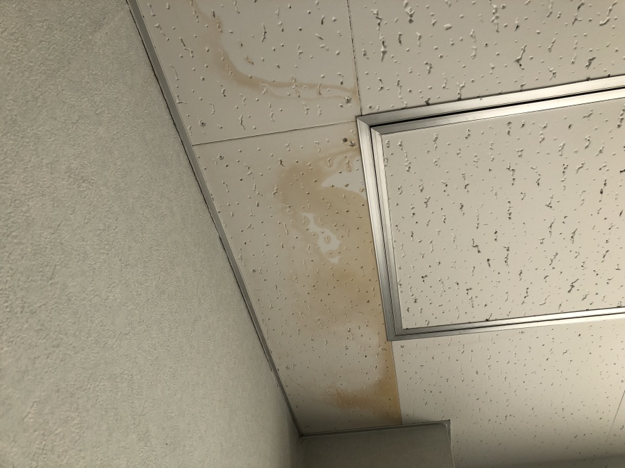 天井クロスに雨染み