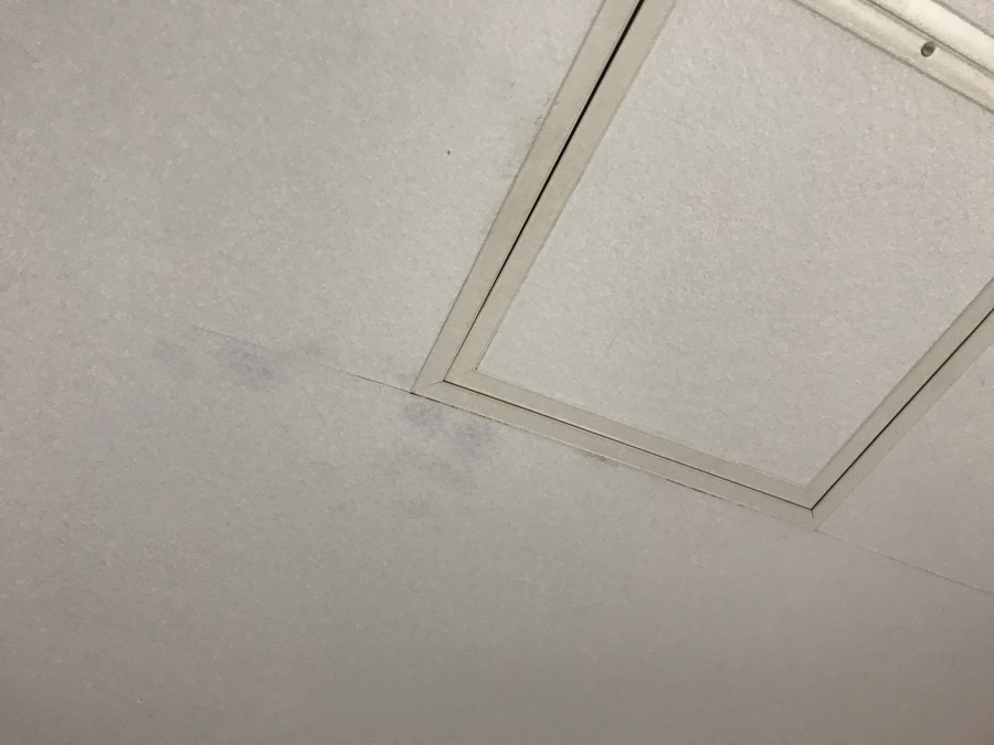 天井クロスに雨染みが出ている様子