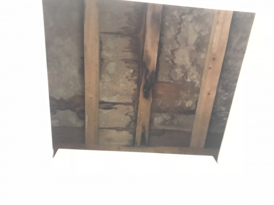 現地調査　屋根裏を調査