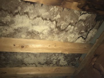 雨漏り調査で屋根裏を調査