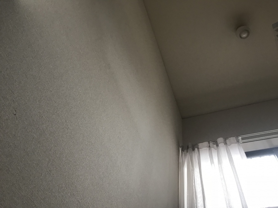 雨漏り調査　雨漏り現状