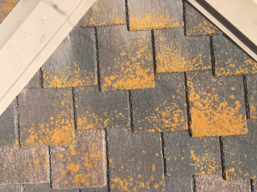 屋根塗装施工前のコケが生えたスレート