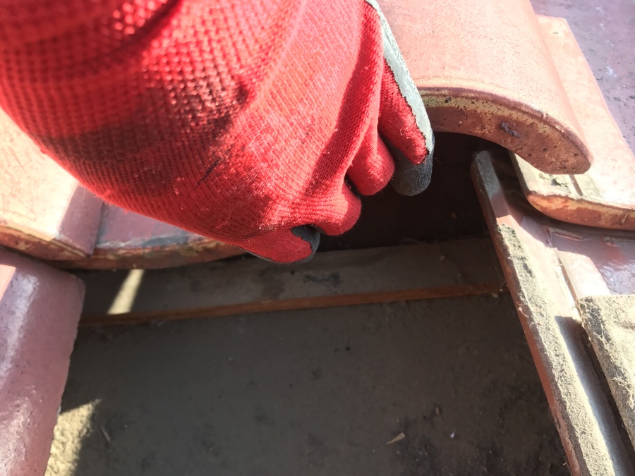 薬瓦　瓦めくり調査