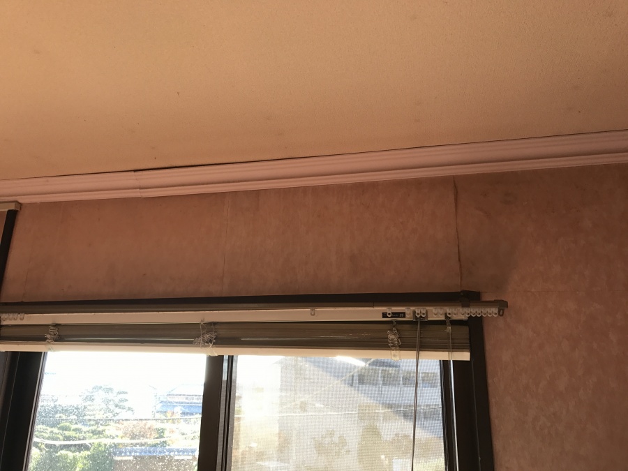 現地調査　室内調査