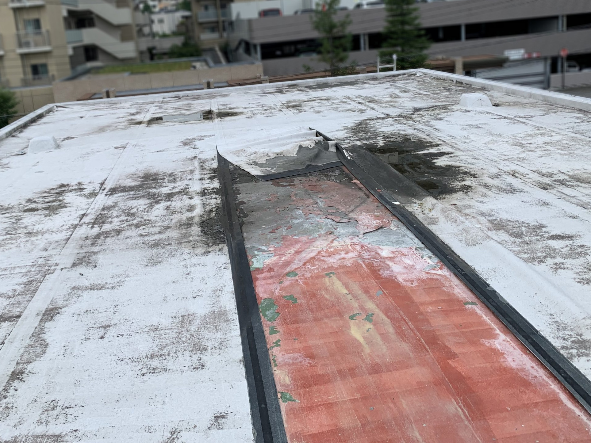 雨水が溜まった屋上屋根