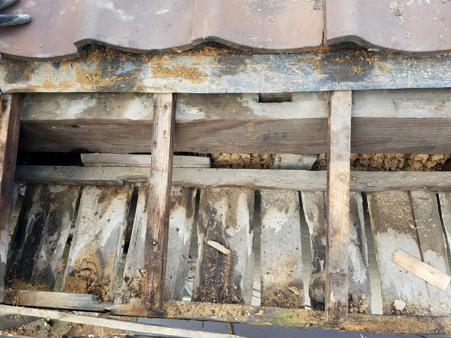 下屋根を部分的に瓦をめくる