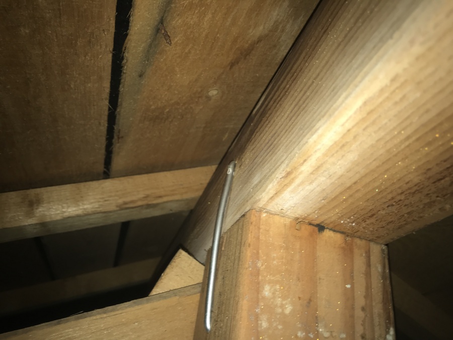天井裏の棟木と野地板の様子