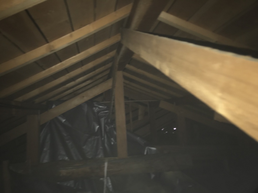 天井裏の様子