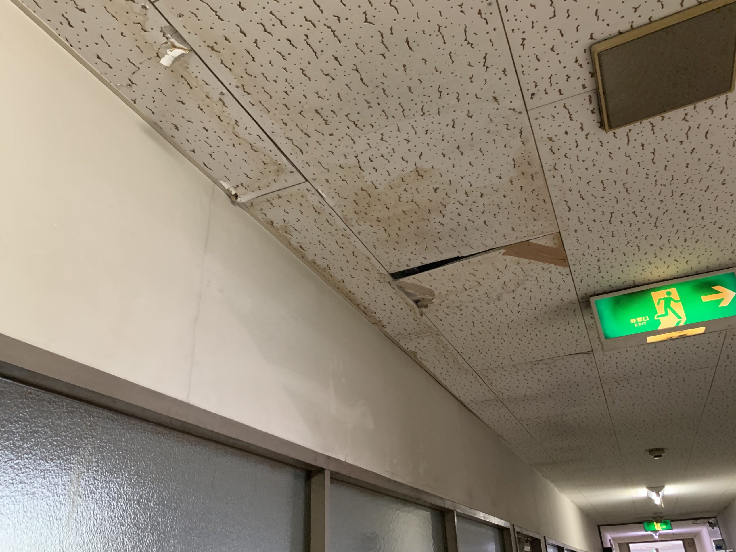 雨漏りによってシミが生じた天井
