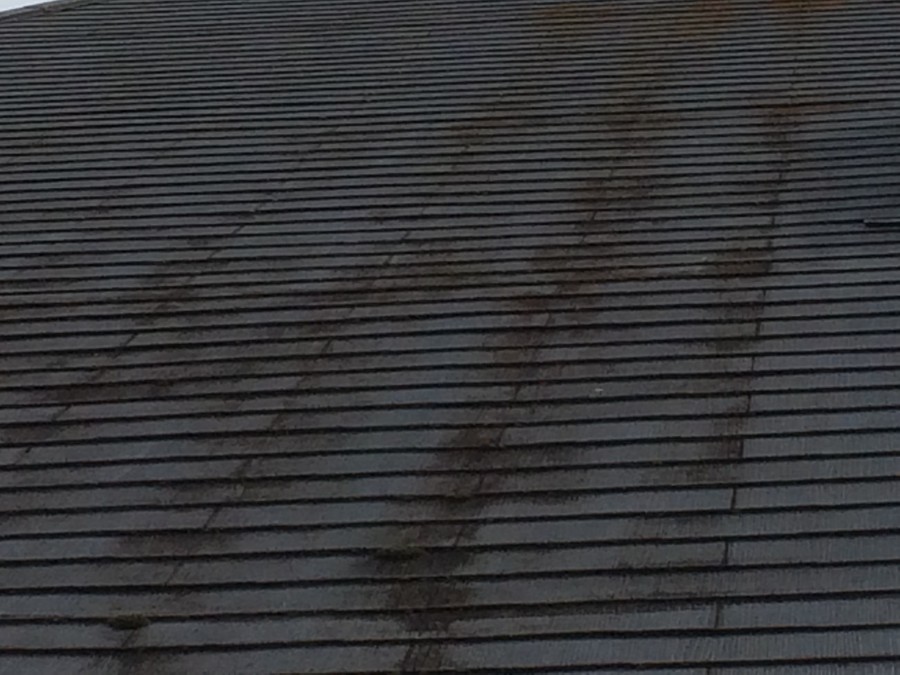 スレート屋根の苔