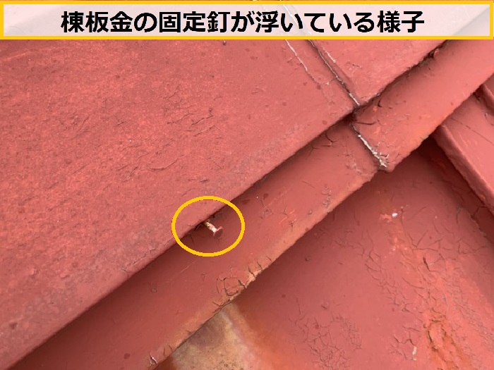 箕面市｜金属屋根の雨漏り原因は錆び？無料点検で分かった劣化症状とは