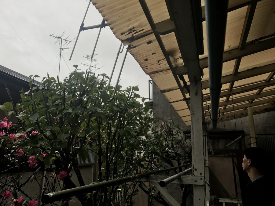 既存の塩ビ波板の状態