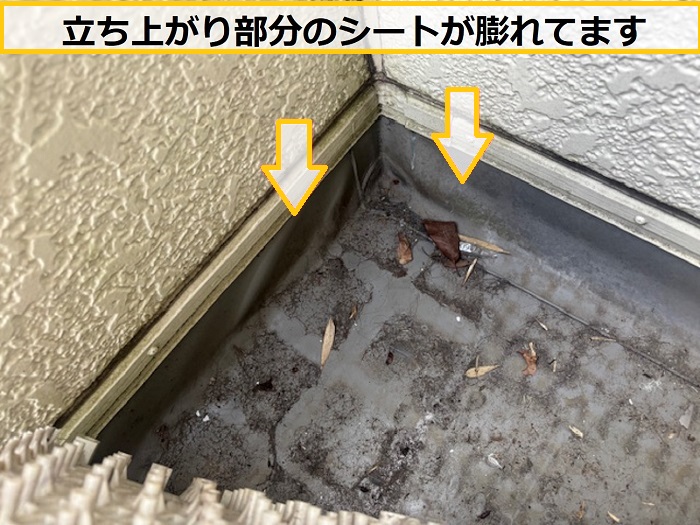 池田市｜大和ハウス戸建てのベランダシート防水を無料診断！おすすめの防水工法とは？