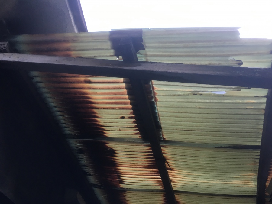 既存波板　撤去前