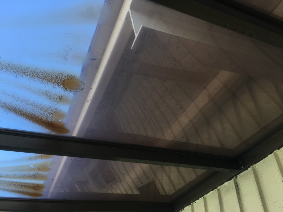 現場調査　垂木確認