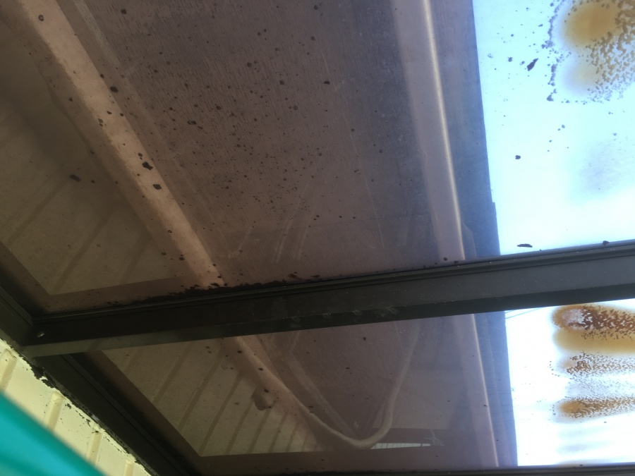 現場調査　垂木確認