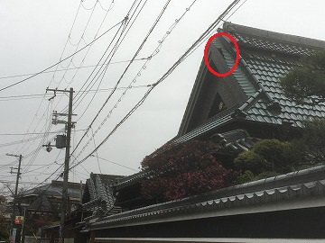 足場作成　屋根のめくれ