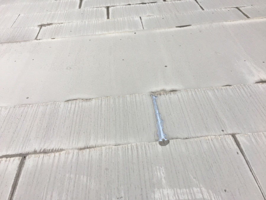 雨漏り調査開始　屋根の調査