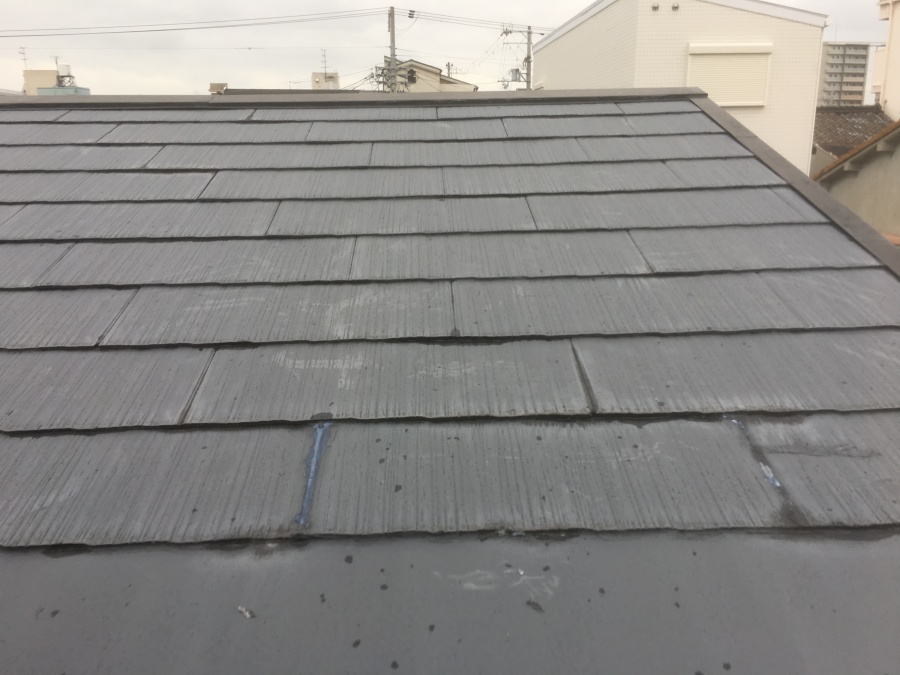 雨漏り調査開始　屋根の調査